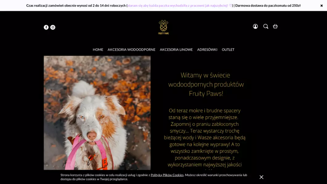 Smycze i obroże dla psów | Sklep internetowy Fruity Paws